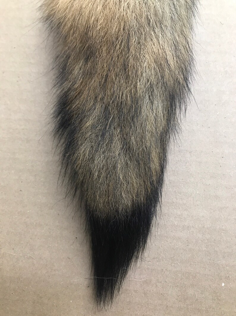 Natural Coyote tail keychain