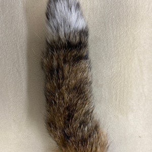 Natural bobcat tail keychain