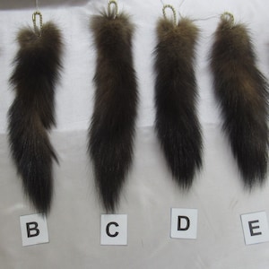 Assorted Natural Golden Sable Keychains
