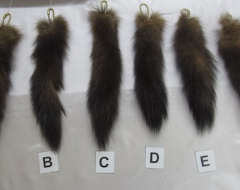 Assorted Natural Golden Sable Keychains