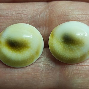 May include: Two round, white shell cabochons with brown and yellow markings. The cabochons have a smooth, polished surface.