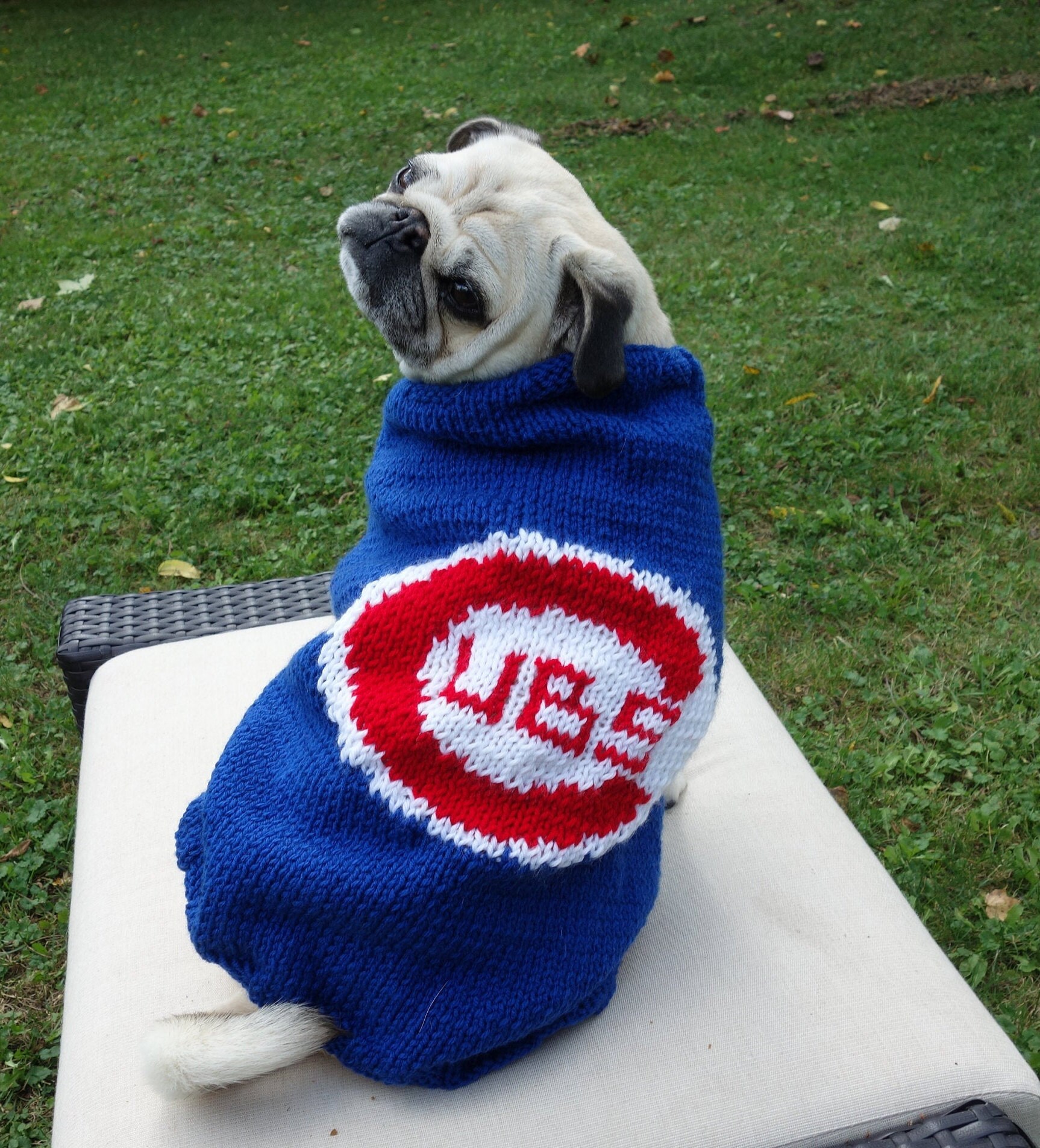 Dog Sweater Sports Team Inspired Custom Fit Handmade Knit Etsy