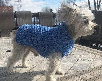 May include: A small, white dog wearing a blue knitted sweater. The dog is standing on a tiled patio.