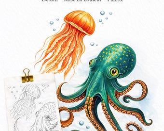 Nachahmungsmuster – Oktopus und Qualle