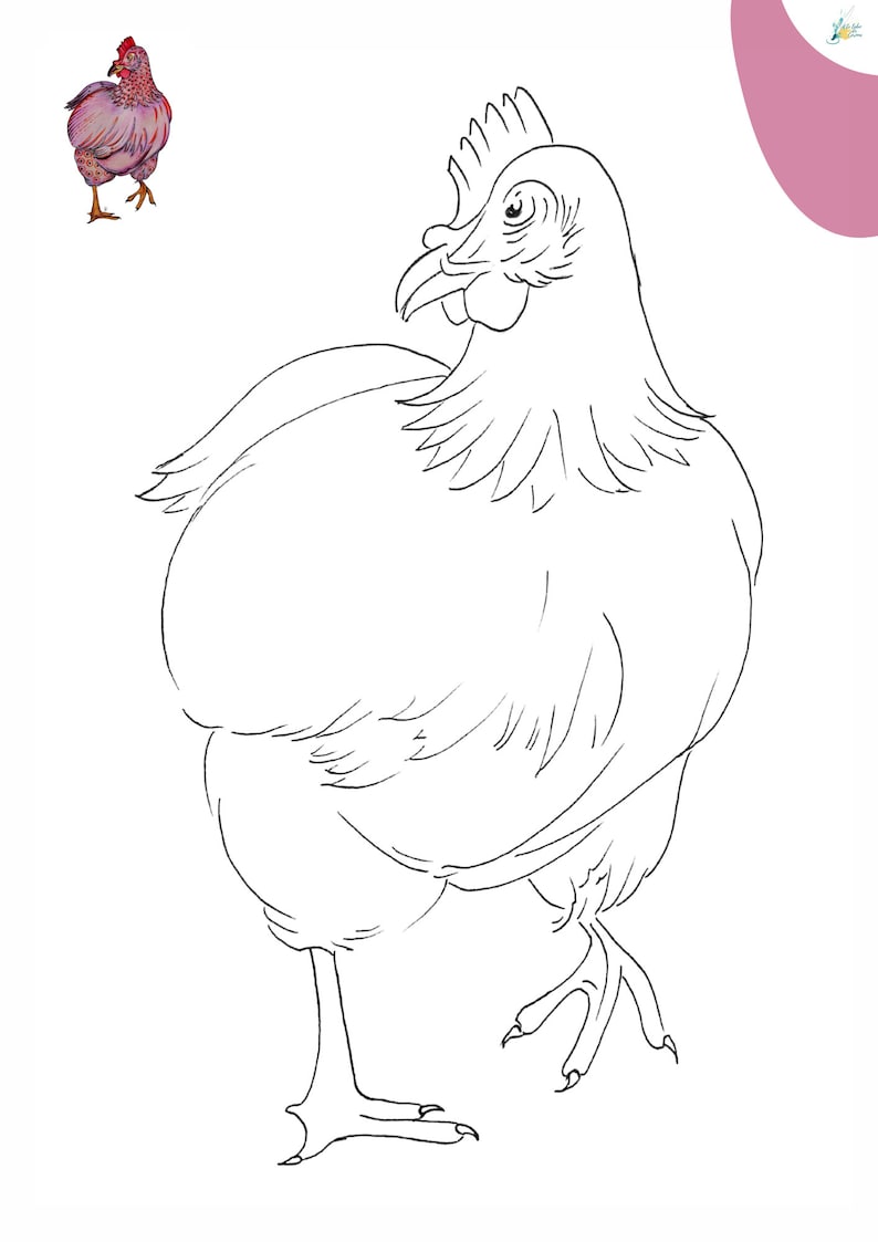 May include: A black and white line drawing of a hen. The hen is standing on one leg and has its head turned to the side. The hen is facing the left side of the image.