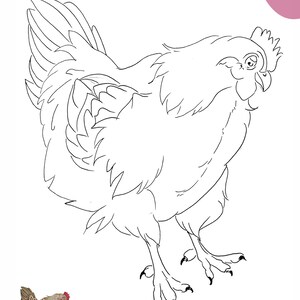 May include: A black and white line drawing of a hen. The hen is facing the right side of the image and has its wings spread out. The hen is standing on two legs with three toes on each foot.