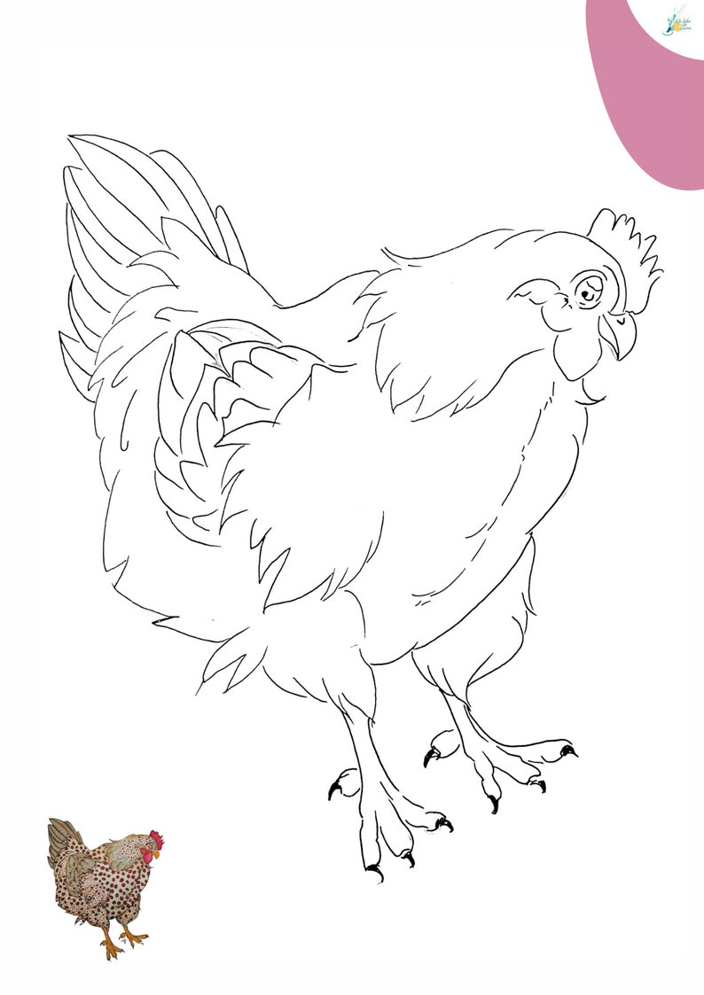 May include: A black and white line drawing of a hen. The hen is facing the right side of the image and has its wings spread out. The hen is standing on two legs with three toes on each foot.