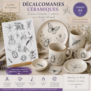 May include: A set of ceramic decals featuring insect illustrations by Corinne JeanJacques on an A6 sheet, alongside a plate, mug, and small dishes decorated with matching black and white beetle, butterfly, and mosquito designs on a speckled surface.