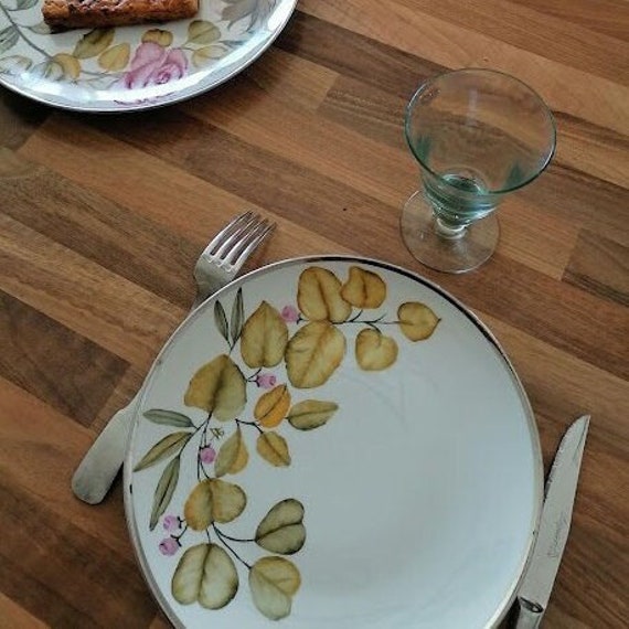 Ensemble de 6 Assiettes Table en Porcelaine Vintage, Peintes à La Main avec Motifs Feuillage Couleur