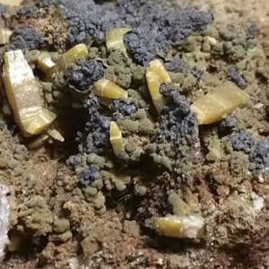 Wulfenite on rock matrix, 81 g, Mina Ojuela, Mapimi, Mexico, prunsig, minerals