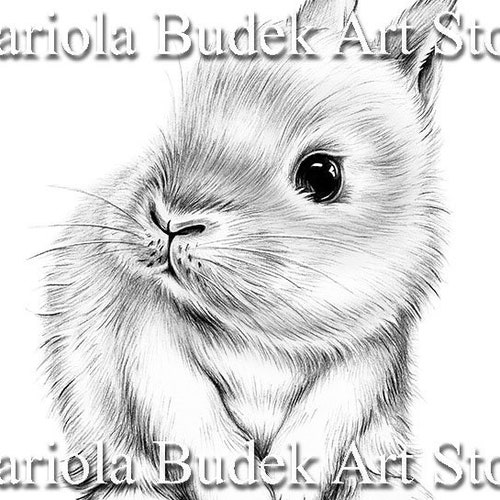 Bunny Mariola Budek Coloring Page Printable Adult Kids - Etsy Bunny Mariola Budek Coloring Page Printable Adult Kids - Etsy