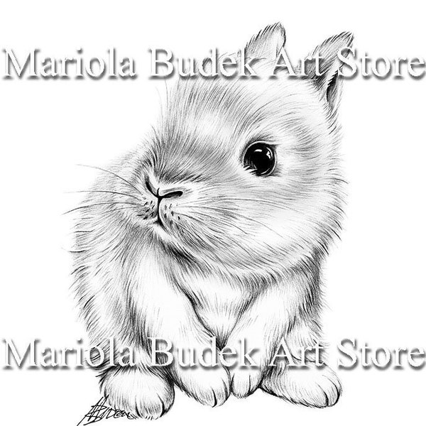 Printable Bunny Coloring Page Etsy