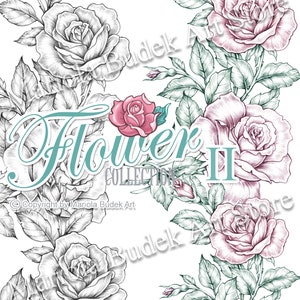 Coleção de Flores - II | Mariola Budek - Selo Digital | Página Digi Stamp Digistamp Clip Art Card Making Ferramentas artesanais Coleção de flores