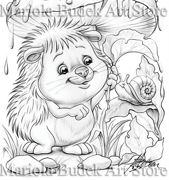 Download Rain in the Forest Mariola Budek Coloring Page Printable | Etsy