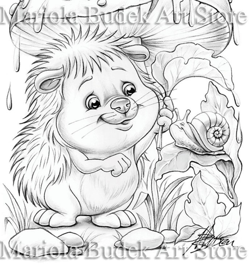 Rain in the Forest Mariola Budek Coloring Page Printable Adult Kids Colouring Pages Instant Download Grayscale Lineart Ilustration PDF image 1