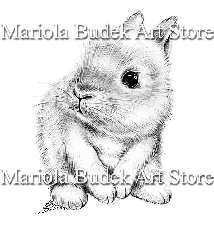 Bunny | Mariola Budek - Coloring Page | Printable Adult Kids Cute Animal Colouring Pages Instant Download Grayscale Lineart Illustration PDF