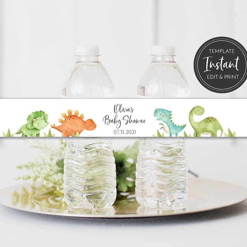 Dinosaur Water Bottle - Etsy