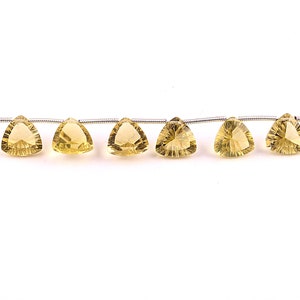 6/8 Pieces AAA Grade Lemon Quartz Trillion Shape Concave Cut Gemstones, Lemon Quartz Drilled Concave Cut Briolettes (10mm app.)