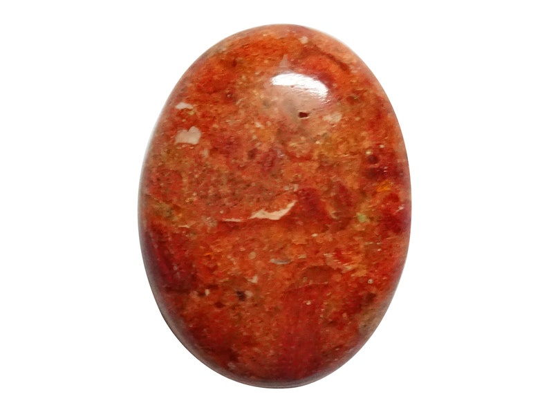 Sponge Coral Oval Shaped Cabochon LS 187 Sponge Coral Oval Shaped cab Sponge Coral Loose Gemstone