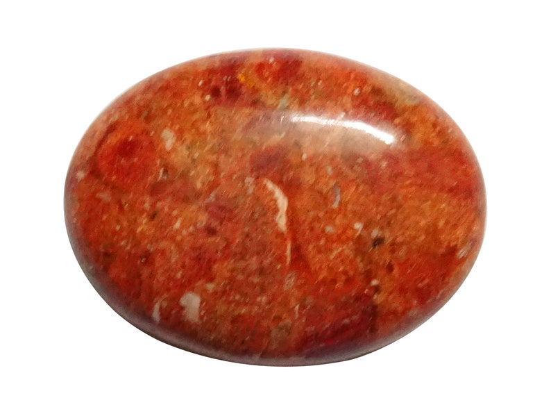 Sponge Coral Oval Shaped Cabochon LS 187 Sponge Coral Oval Shaped cab Sponge Coral Loose Gemstone