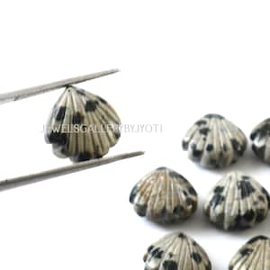 May include: A group of seven dalmatian jasper shell beads, each with a unique black and white pattern. The beads are carved in the shape of a seashell and are perfect for jewelry making.