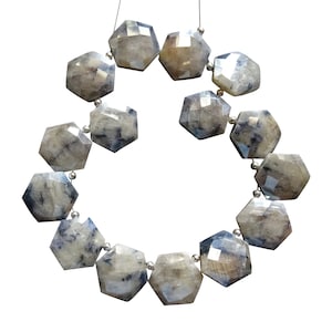 Silverite Faceted Fancy Shape Beads, Sapphirine Faceted Briolettes, Silverite Fancy Briolettes, Sapphirine Faceted Hexagons (SPH10)