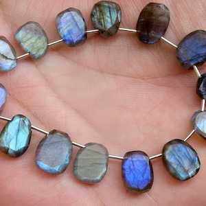 14 Pieces Bright Flashy Labradorite Faceted Irregular Shape Flat Slices, Labradorite Fancy Shape Briolettes (PTS17)