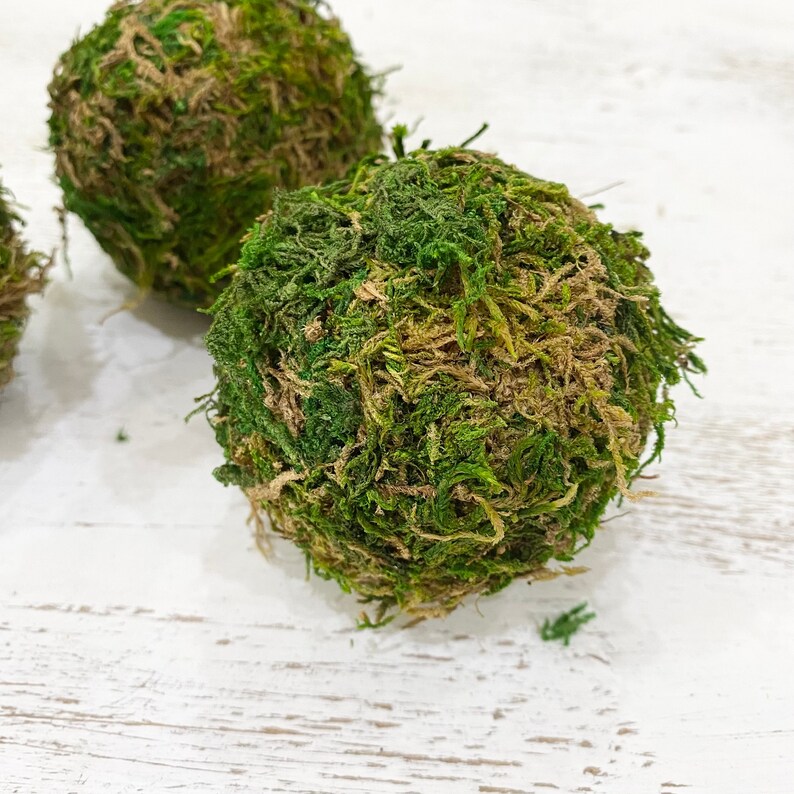 Moss Covered Balls for Decorative Vase Bowl Fillers Dough Etsy