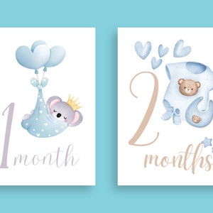 Instant Download Digital Printable Baby Boy Milestone Cards, Baby ...