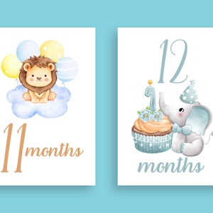 Instant Download Digital Printable Baby Boy Milestone Cards, Baby ...