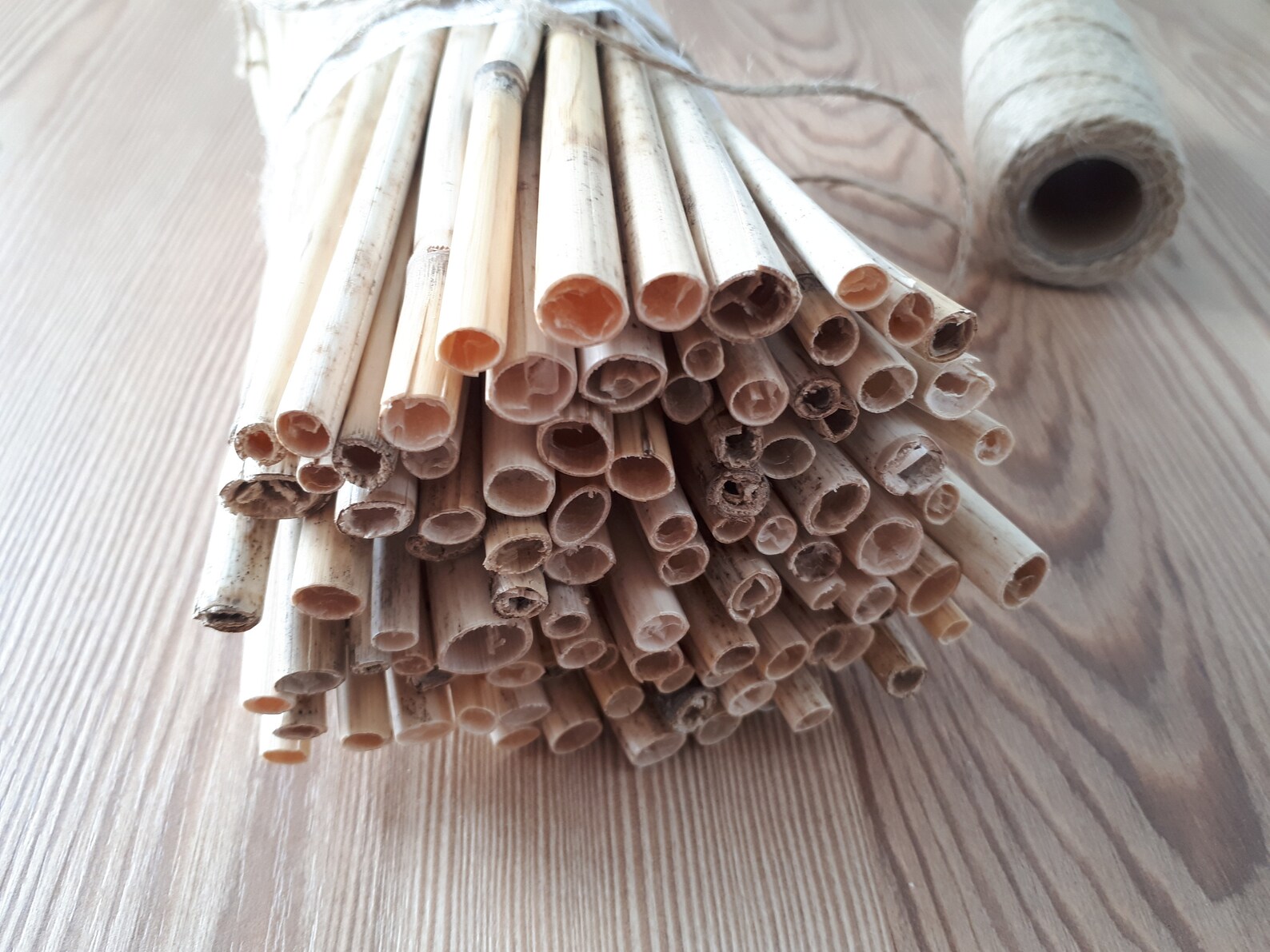 Dried Reeds Craft Supply Reed Bouquet Floral supply ECO Etsy