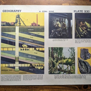 Ensemble de 5 affiches éducatives du milieu du siècle sur divers sujets