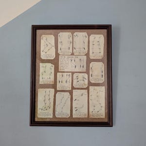 Könnte beinhalten: Eine gerahmte Sammlung von Vintage-Tanzanweisungskarten. Die Karten mit Illustrationen von Tanzschritten sind in einem dunkelbraunen Holzrahmen angeordnet. Der Hintergrund ist hellbraun und der Rahmen befindet sich vor einer blau-weißen Wand.