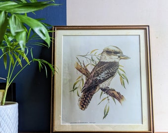 Vintage 'Laughing Kookaburra' print in vintage solid wood frame, after Deirdre Lynette Hunt (b.1939)