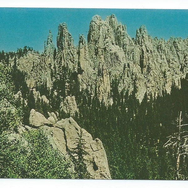 Vintage Postcard Needles of South Dakota Black Hills VG Never Mailed