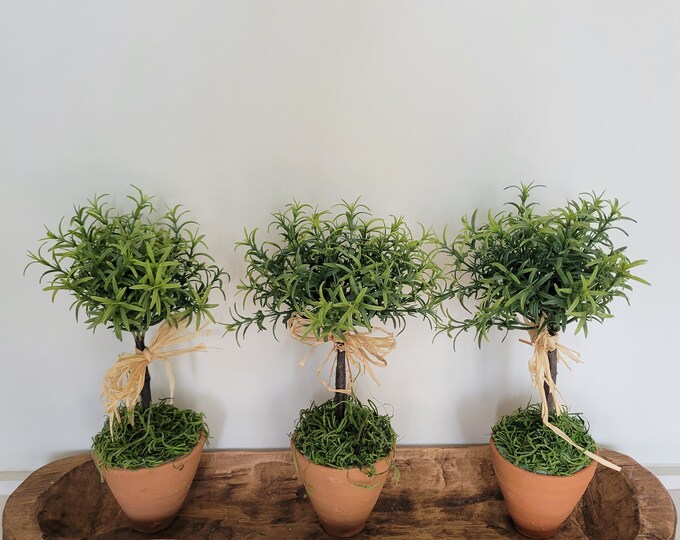 Set of Three Mini Faux Rosemary Topiary in Rustic Terracotta Pot Etsy