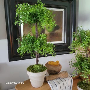 May include: A small, artificial topiary tree with bright green foliage in a white pot. The tree has a brown trunk and is surrounded by green moss. The pot sits on a wooden surface, with a painting in the background.