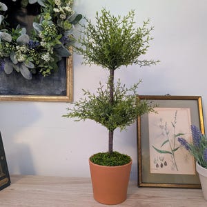 May include: A small, artificial topiary tree in a terracotta pot. The tree has two tiers of green foliage and a brown trunk. The pot is filled with green moss. The tree is displayed on a wooden surface.