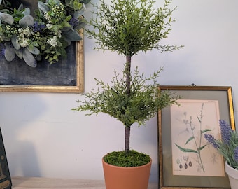 18” Faux Double Cypress Topiary in Italian Terracotta Pot