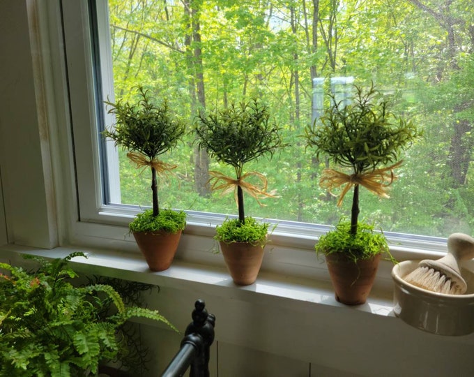 Set of Three Mini Faux Rosemary Topiary in Rustic Terracotta Etsy