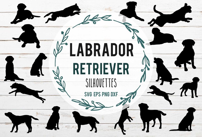 Download Dog Svg Cut File Dog Png Lab Svg Dachsund Svg File For Cricut Cameo Svg Cute Dog Clipart Shapes Labrador Retriever Silhouette Svg Bundle Clip Art Art Collectibles