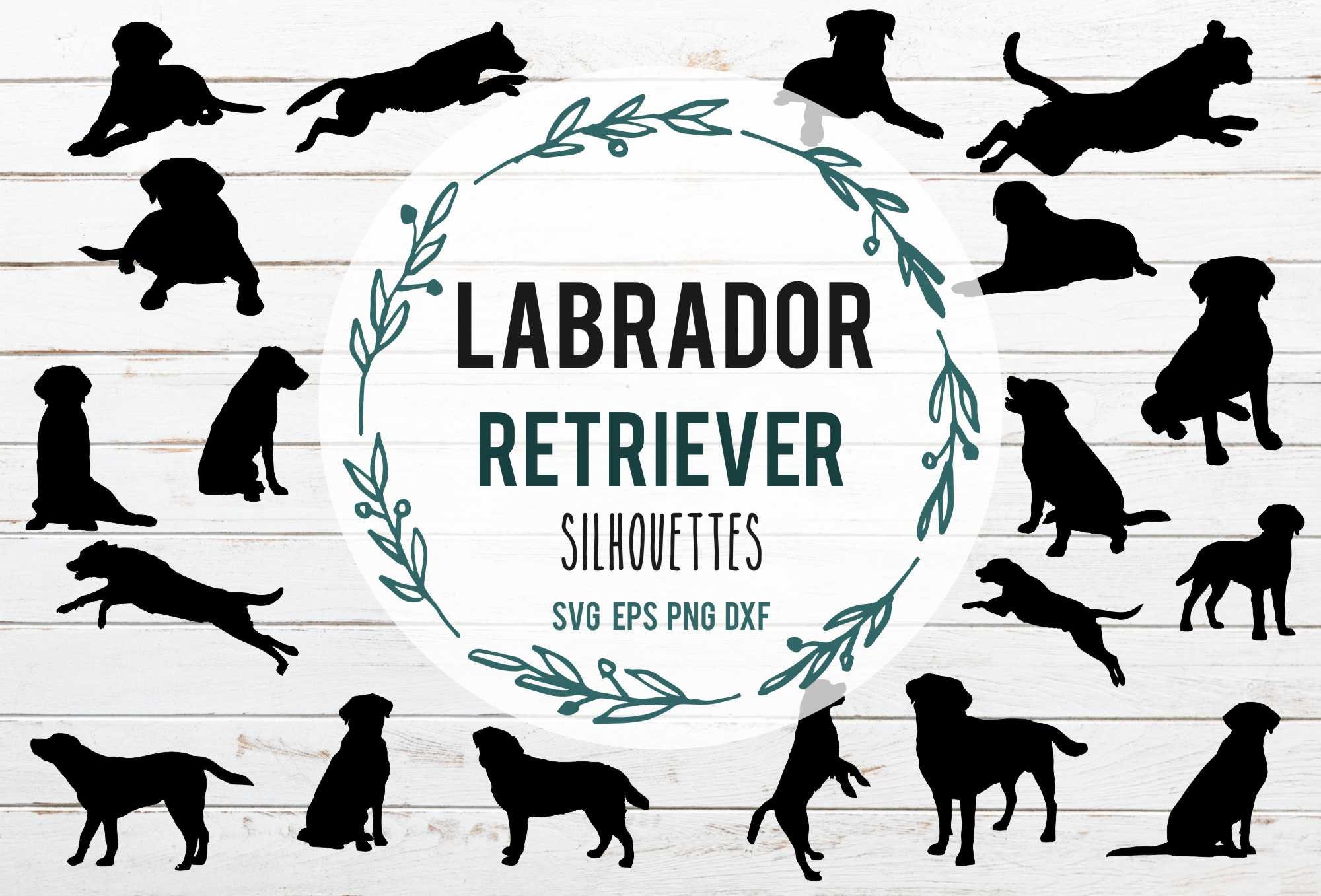 Download Labrador Retriever Silhouette Svg Bundle Svg Cute Dog Clipart Etsy