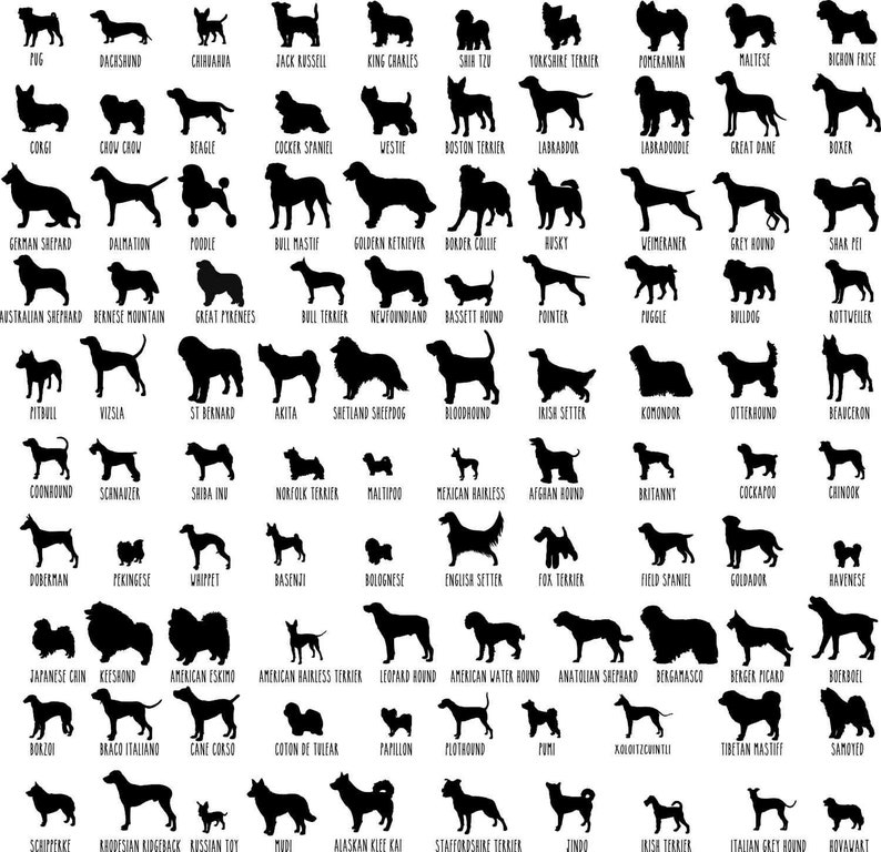 Download Dog Breed Svg Clipart Shapes 100 Dog Silhouette Svg Bundle Dog Breeds Svg Cut File Dog Png Lab Svg Chihuahua Svg File For Cricut Clip Art Art Collectibles