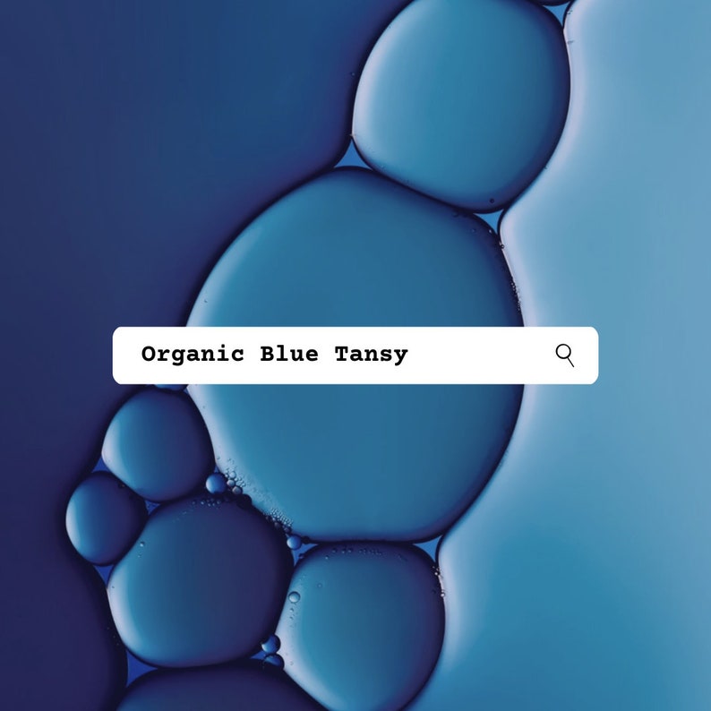 Blue Tansy Squalane Organic Face Oil / Calm Redness / Vegan, Sustainable, Natural Skincare / Eco Friendly image 3