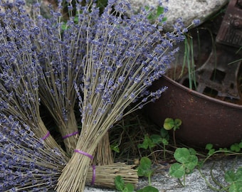 2 10" Lavender Bunches - 2 Bunches - 10" Long - 100-150 stems/bunch dried lavender bouquets