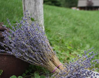 2 12" Lavender Bunches - 2 Bunches - 12" Long - 100-150 stems/bunch dried lavender, lavender, wedding lavender, bulk lavender, wholesale