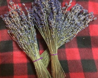 5 8" Lavender Bunches - 5 Bunches - 8" Long - 100-150 stems/bunch dried lavender bouquet