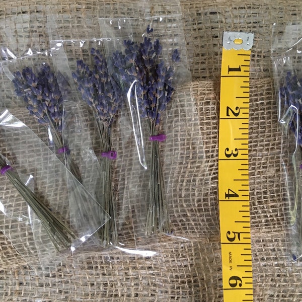 50 Mini lavender bundles, wedding favor, place setting, lavender gift.