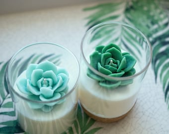 Succulent Soy Candle | Room Decor for Cactus and Succulent Lovers | Wedding Favors | Valentine gift | Housewarming Gifts