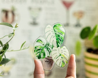 Double-sided tropical plant magnets for plant enthusiasts, gifts for plant moms, rare plant gifts, anthurium magnet, monstera fridge magnet